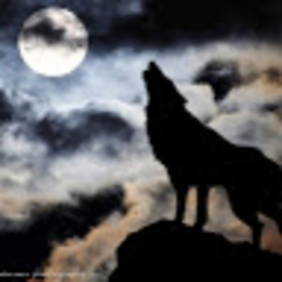 Meet your Posher, Jessie - Picture 1 of 1